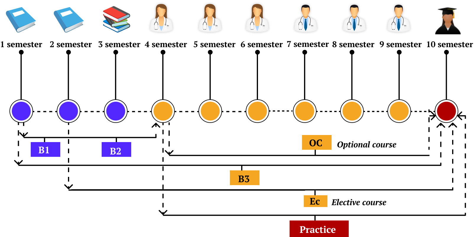 Curriculum